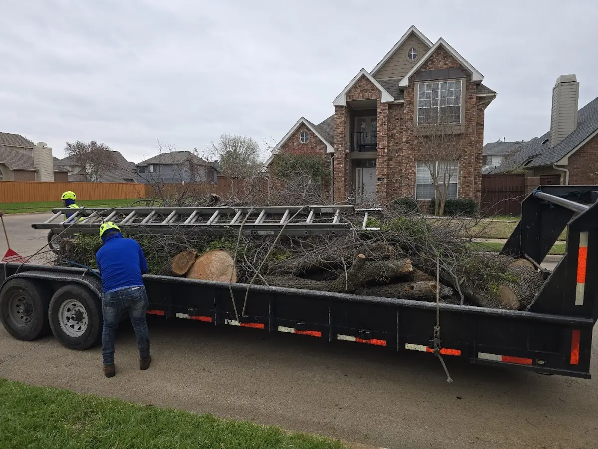 Expert Tree Fertilization with proper safety equipment in Barrington